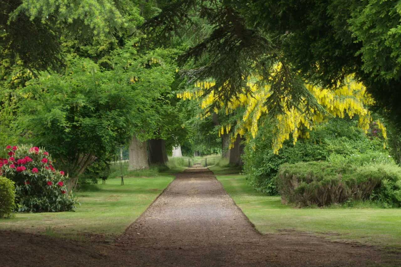 Errol-Park-The-House-Gardens